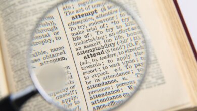 Vocabulary