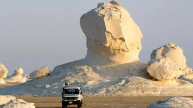White Oasis Egypt