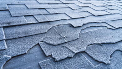 Why Hiring a Professional for Roof Leak Repair Saves You Money