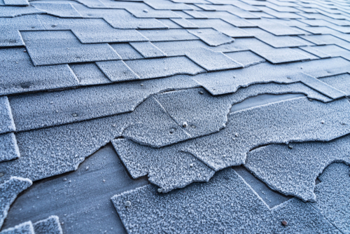 Why Hiring a Professional for Roof Leak Repair Saves You Money