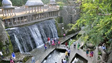 Himachal Delight Tour
