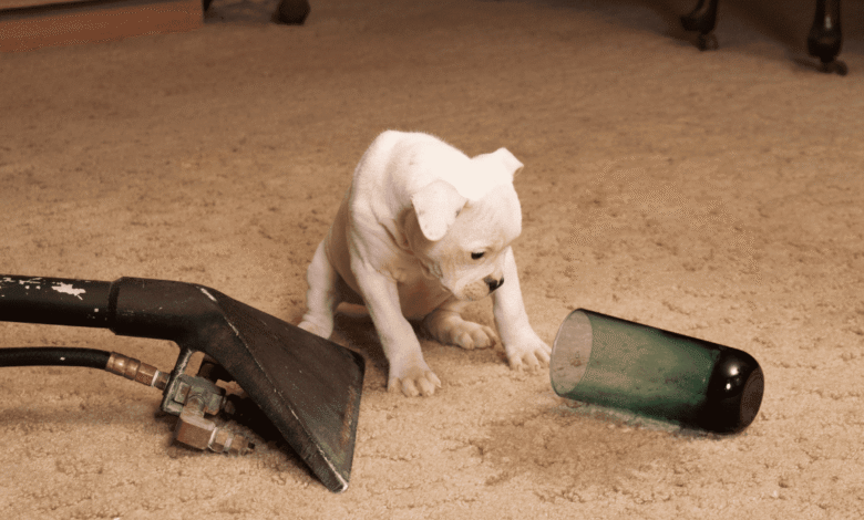 Floor Maintenance Services