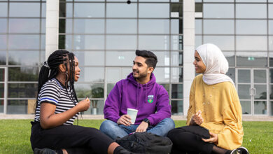 Some of the popular courses to study in Ireland consist of some combination of sectors, including information technology, business, engineering, and more.
