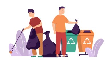 Recyclable Waste Management Services