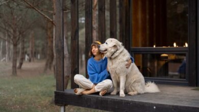 pet-friendly homestay in Nainital