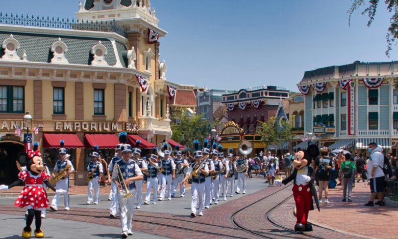 private transfer CDG to Disneyland Paris