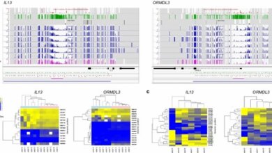 the-evolution-of-methylation-arrays-from-basic-profiling-to-high-resolution-analysis