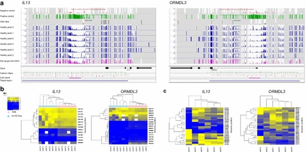the-evolution-of-methylation-arrays-from-basic-profiling-to-high-resolution-analysis