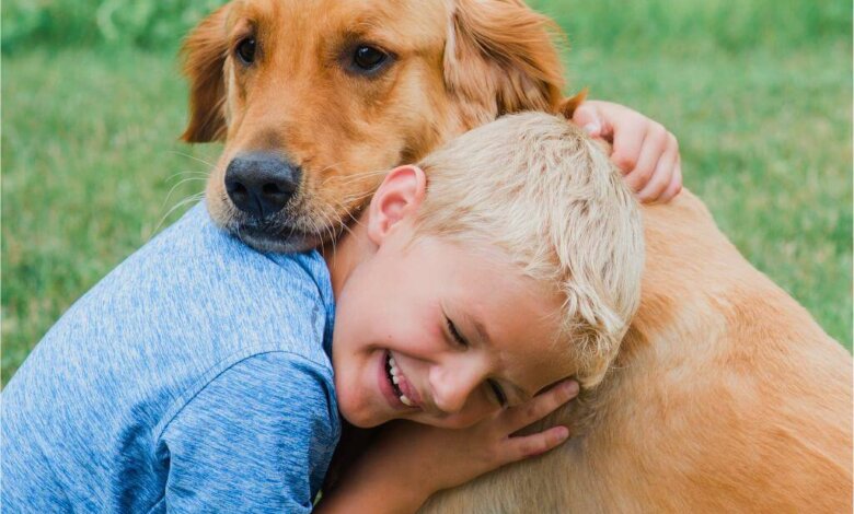 pet loss cards