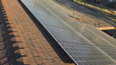 critter guard for solar panels