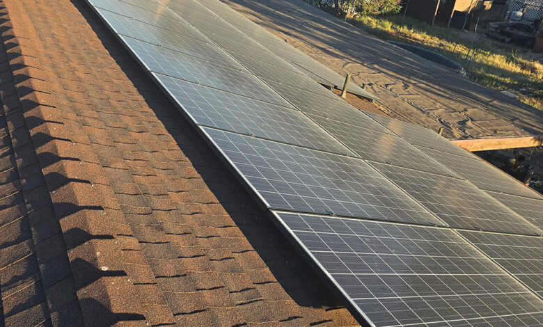 critter guard for solar panels