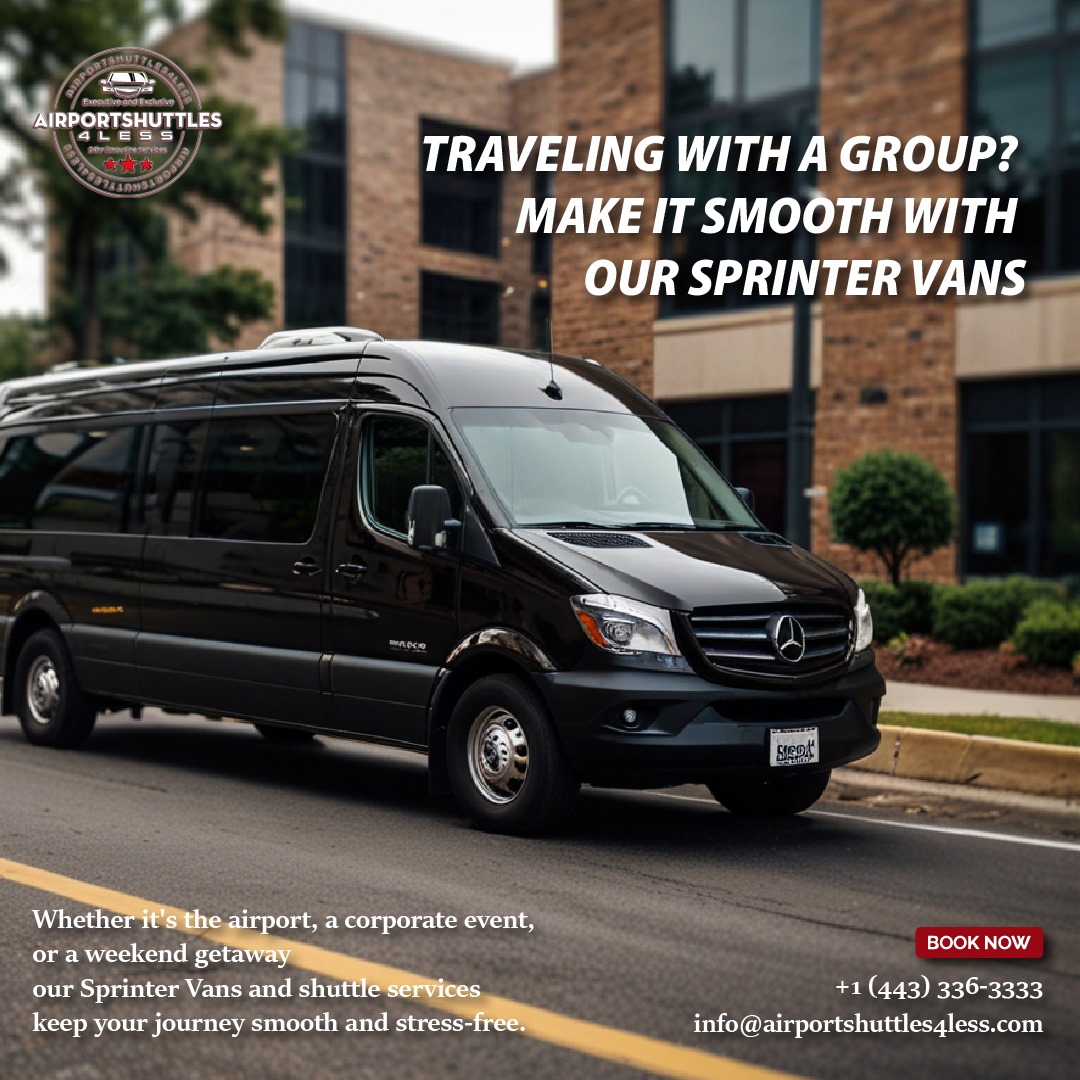 Professional chauffeur assisting a passenger with airport transportation