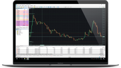 MT5 brokers