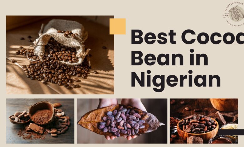best cocoa bean in nigerian