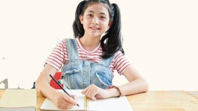 Essay Writing Help