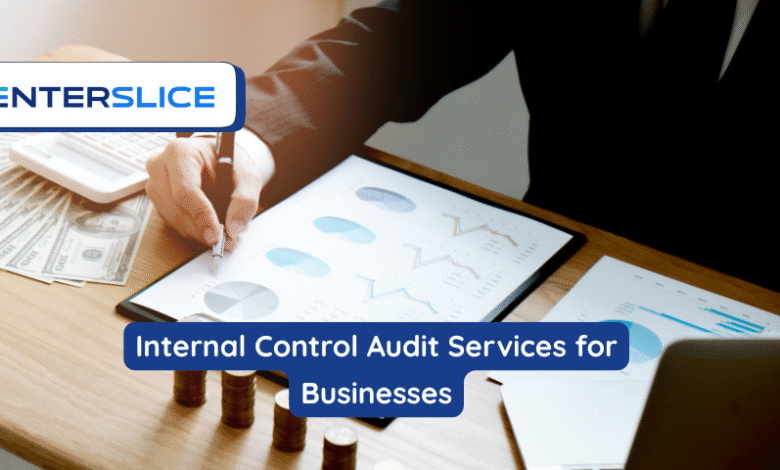 Internal Control Audit Services for Businesses