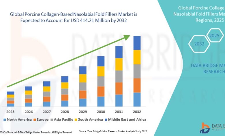 Porcine Collagen-Based Nasolabial Fold Fillers Market