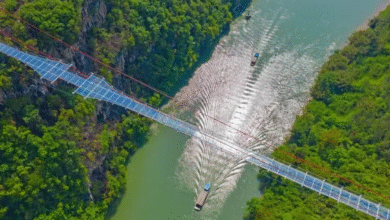 Rajgir Glass Bridge