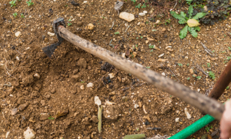 soil & Drainage in the UK
