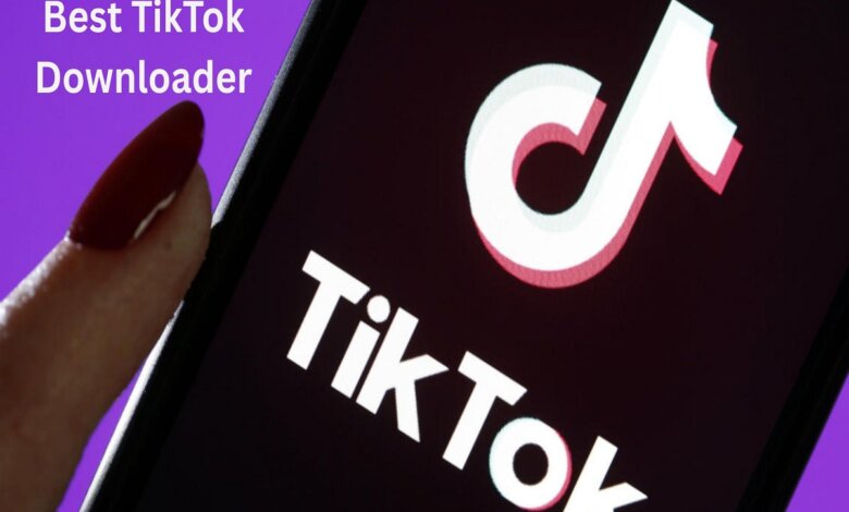 TikTok Downloader