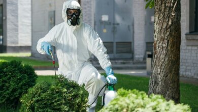 Pest Control Service in Kolkata