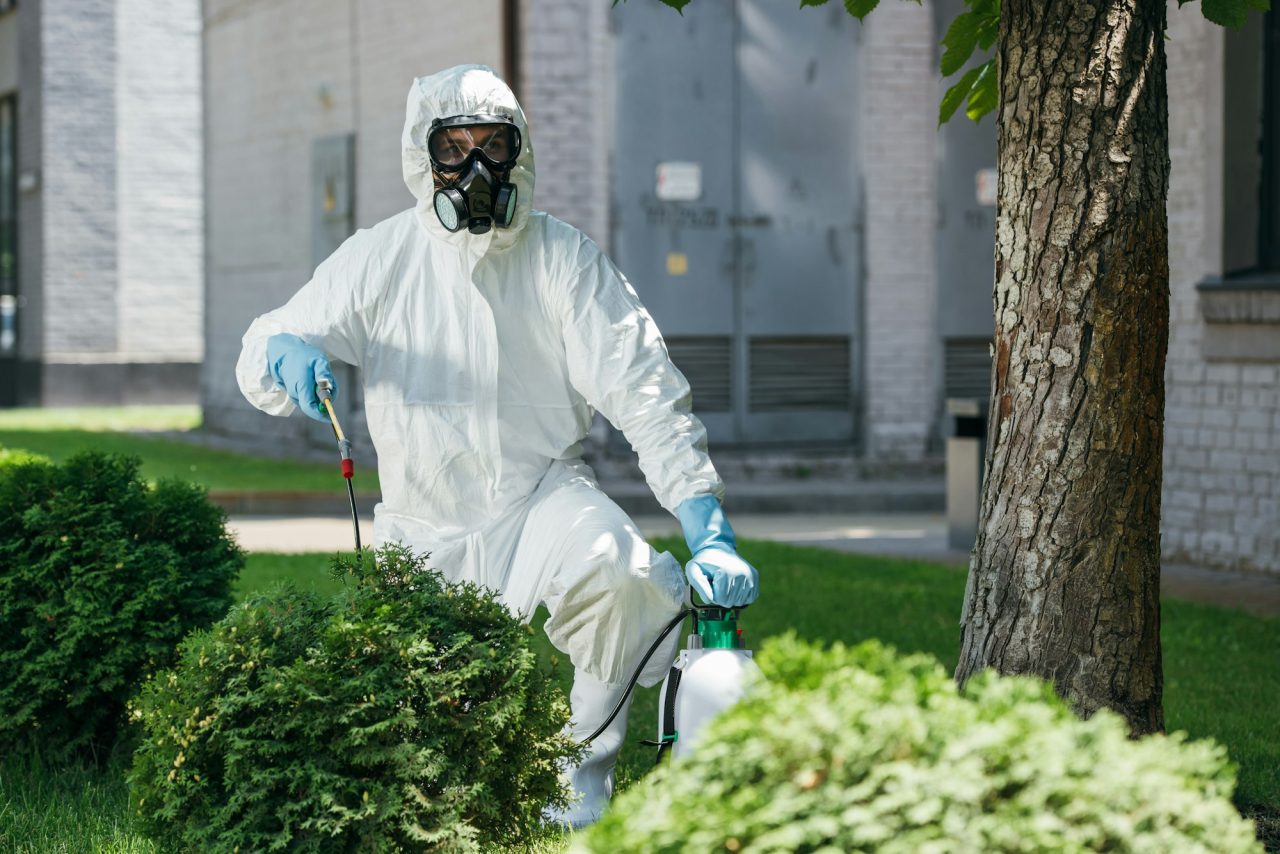 Pest Control Service in Kolkata