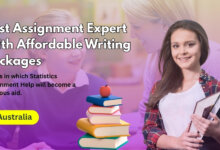 assignment expert