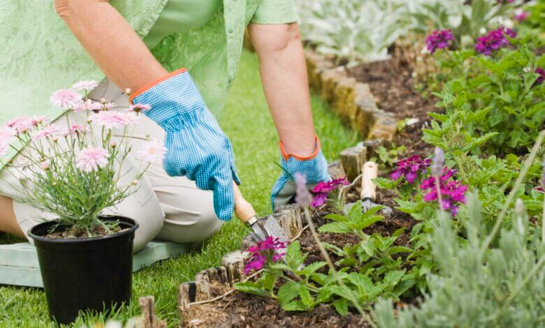 garden planting guide