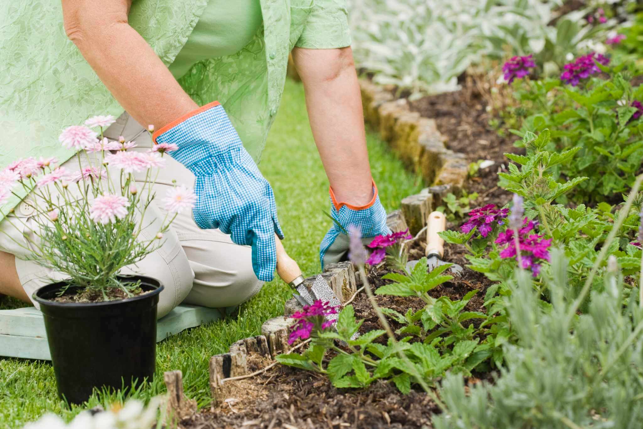 garden planting guide