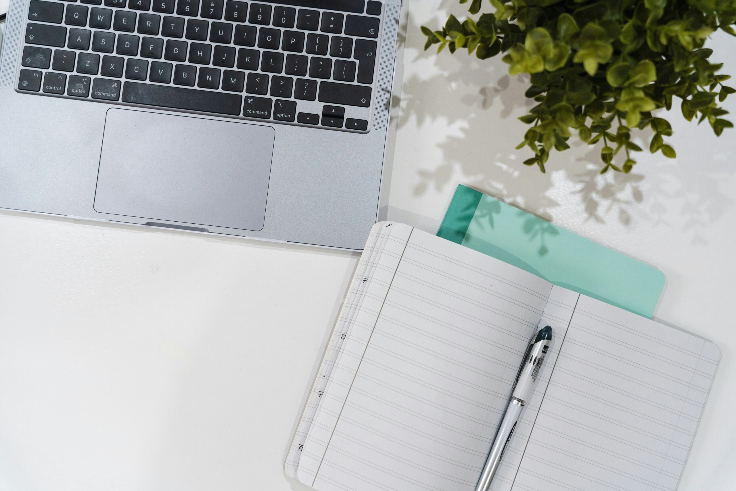 Book & a Laptop