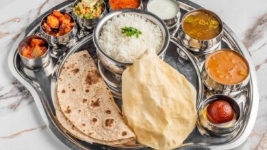 Best Indian Vegetarian Food in Brampton, Torbram, Mississauga