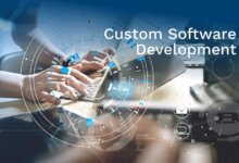 Software Development Services | LBM Solutions