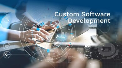 Software Development Services | LBM Solutions