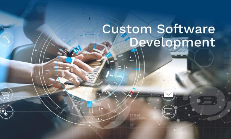 Software Development Services | LBM Solutions