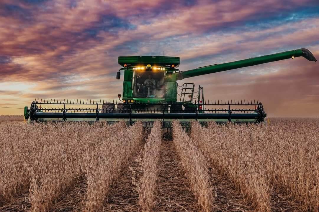 farming in the UK